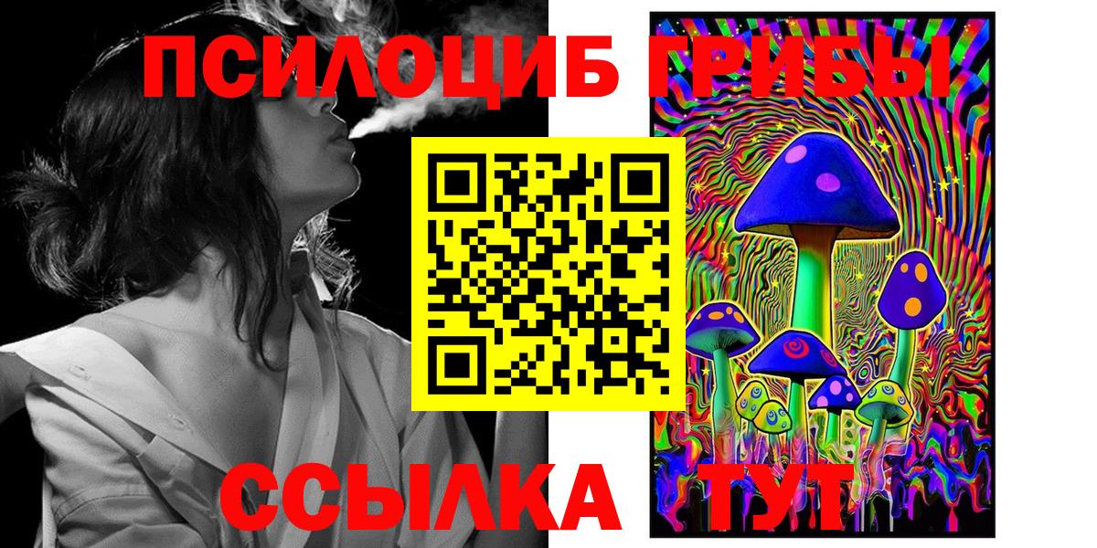 Галлюциногенные грибы Cubensis  Вход с VPN  Псилоцибиновые грибы прущие грибы  Коломна 