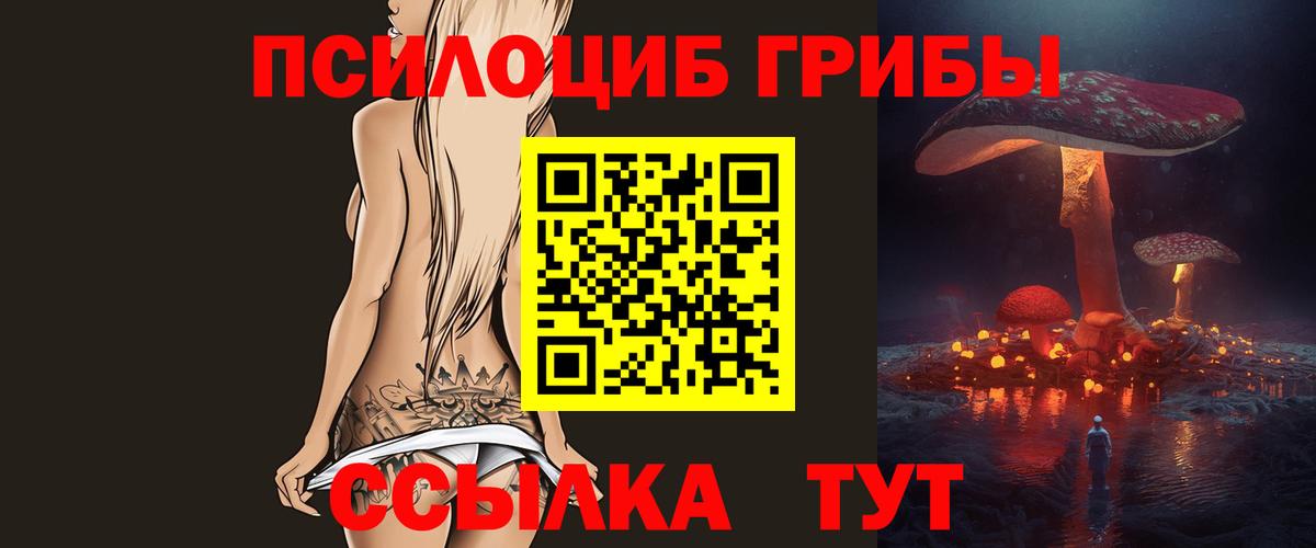 Псилоцибиновые грибы Psilocybe Коломна